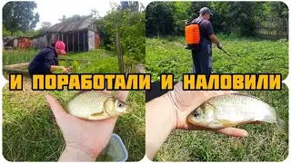 БРОСИЛИ ЗАРОСШИЙ ОГОРОД 🤦🏻‍♀️И УЕХАЛИ НА РЫБАЛКУ 😳