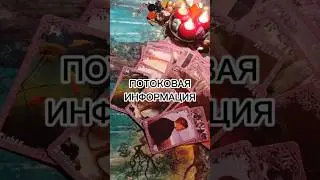 ПОТОКОВАЯ ИНФОРМАЦИЯ ✨
