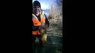 ПЕРВАЯ ПОЕЗДКА В Астрахань,рыбалка на сазана,жмых,поставки.РЫБАЛКА ДИКАРЯМИ.
