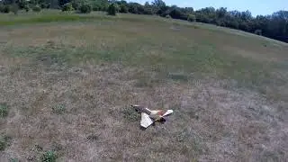 Jetiger. 12 year old EDF plane.