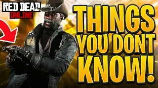 5 Things Beginners DON'T Know They Can Do In Red Dead Online