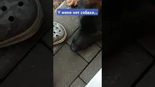 #тимасветлогорских