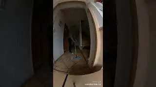 Reinigen,putzen,putzen und nochmal reinigen
