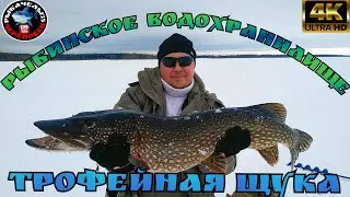 Зимняя Рыбалка в 