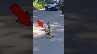Ленивец перекрыл дорогу😳