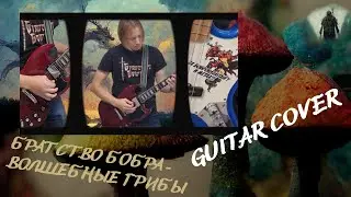 БРАТСТВО БОБРА - ВОЛШЕБНЫЕ ГРИБЫ 🔥GUITAR COVER🔥