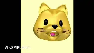 [Learn Cantonese Daily] Day 113: Describe your pet’s favorite activity