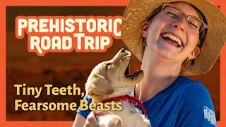 Episode 3: Tiny Teeth, Fearsome Beasts — Prehistoric Road Trip