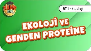 Ekoloji ve Genden Proteine | AYT Biyoloji 
