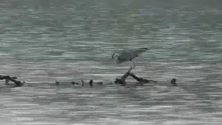 Окресности и водоёмы  г  ЛЮДИНОВО-2015 г. (4 часть)
