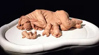 27 Animals That Are Born Only Once In a Thousand Years