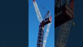 Crane