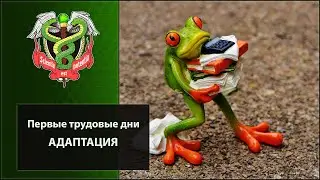 Первые трудовые дни врача. Уже не ординатор. Как справиться с первыми сложностями?