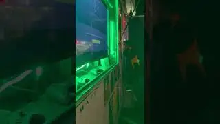 Game Truck Rock N Roll!!