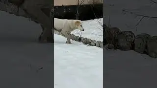 16 марта 2023 г.