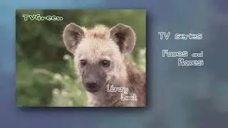 FaunaView: Krugerpark - Hyena