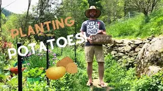 SPRING 2021 Garden update & Planting POTATOES!