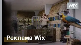 Создайте сайт для своего бизнеса