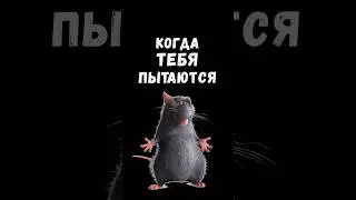 Когда тебя пытаются крысить #CS:GO #csgo2023  #мемыcsgo