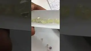 Uncut Diamond Price- Real Rough Diamonds For Sale