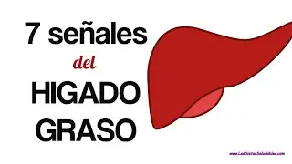 7 Señales de Alerta del Higado Graso No Alcohólico