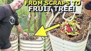 I Grew a FRUIT TREE from KITCHEN SCRAPS!