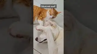 Луна и Кошмарик. #80: Анатомия.