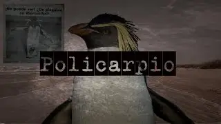 Policarpio (Historia real)