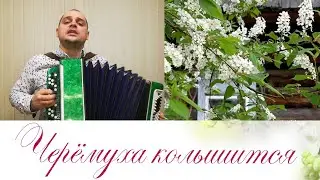 ЧЕРЁМУХА КОЛЫШЕТСЯ  - Денис Ларин( Кавер на баяне) // THE BIRRY IS WAVING - (Bayan cover)