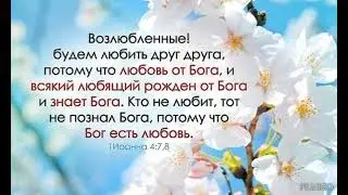 ПОДНИМИТЕ ЗНАМЯ ЛЮБВИ