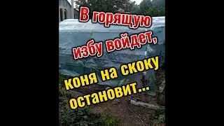 В горящую избу войдет! Коня на скоку остановит!