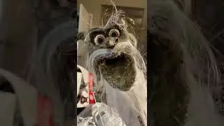 I NEED a HAIRCUT!!! #muppets #muppet #puppets #puppet