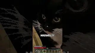 Maxwell die Katze in MINECRAFT?😂 