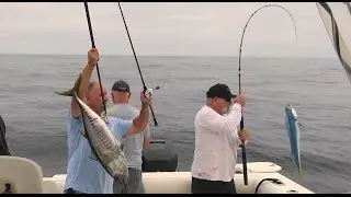 Yellowfin Tuna and Dorado patty hopping The Reel Brother Presents