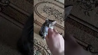 Кофе решает😁😅😆