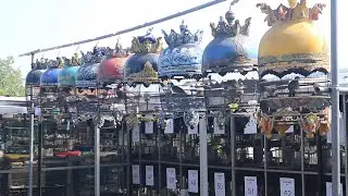 Athar Bird Firm : PERKUTUT BANGKOK HARGA TERJANGKAU JAMINAN KUALITAS