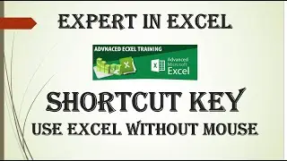 06 HOW TO USE EXCEL WITHOUT MOUSE- SHORTCUT KEY