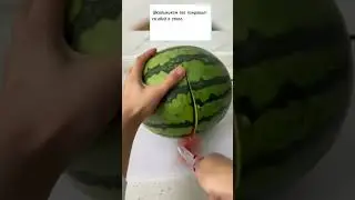Про питание школьников 