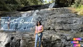 how to reach vattakanal falls from dolphin nose kodaikanal tamil nadu