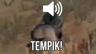 Tempek
