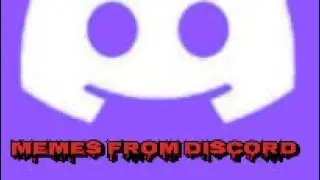 Funny memes from discord