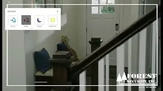 Scenes Short Video