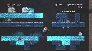 Spelunky HD - 2:11.994 No TP Any% FWR - Kinnijup