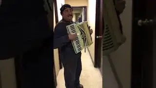 Bruno