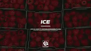 Free Bounce Flute Type Beat x Tyga 