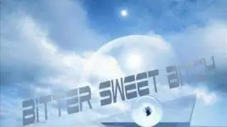 bitter sweet bitch remix