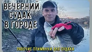 Рыбалка на судака джиг/приманки/Favorite Skyline