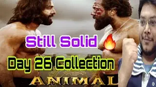 Animal Day 26 Collection | Animal Day 26 Box Office Collection | Animal Day 26 Worldwide Overseas