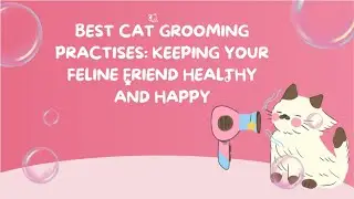 🧼 Best Cat Grooming Practices: Keeping Your Feline Friend Healthy and Happy 🐾