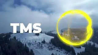 TMS - Sprinting